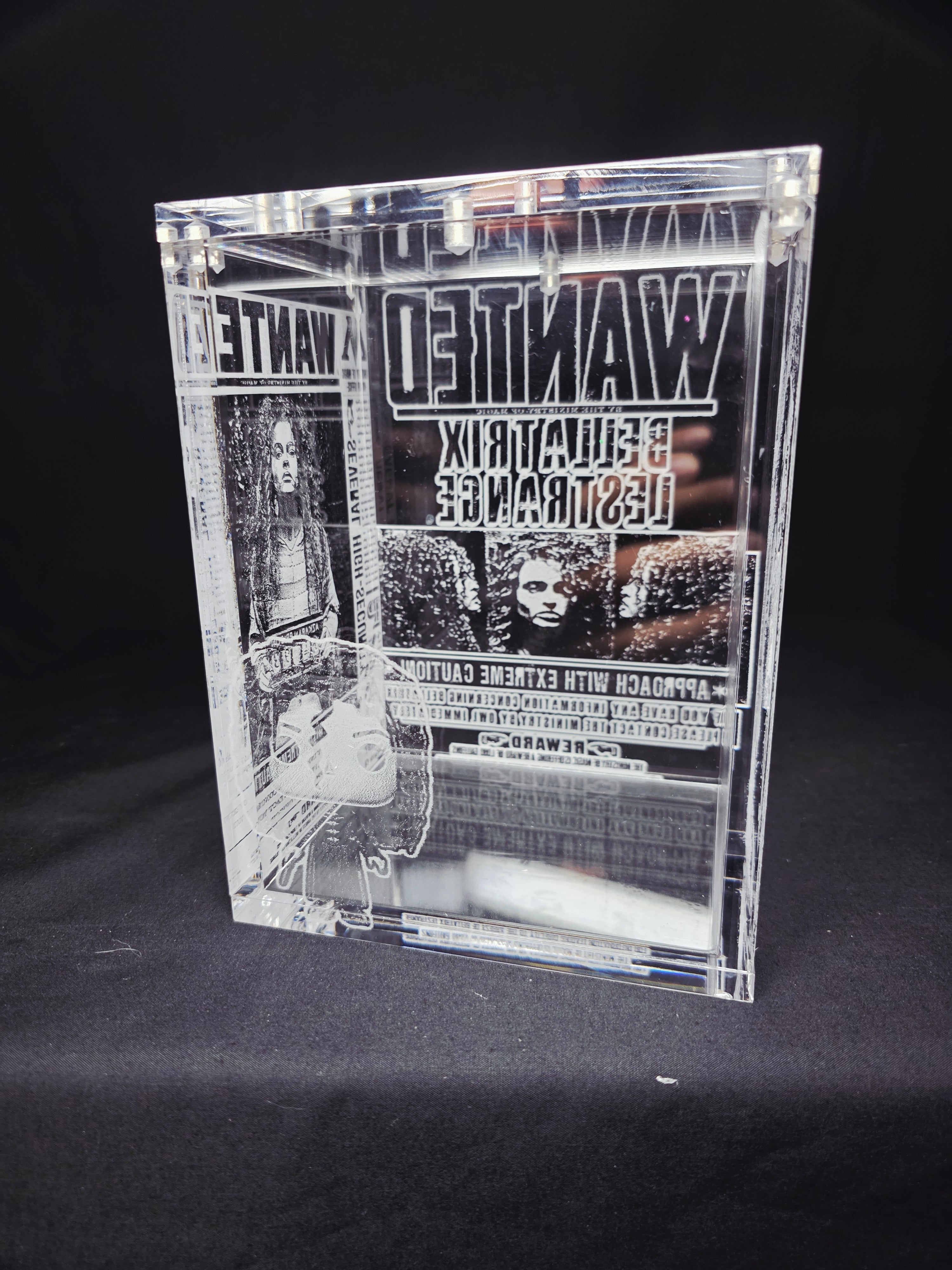 Bellatrix Harry Potter Funko Pop Custom Premium Armor