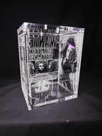 Bellatrix Harry Potter Funko Pop Custom Premium Armor