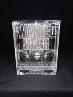 Bellatrix Harry Potter Funko Pop Custom Premium Armor