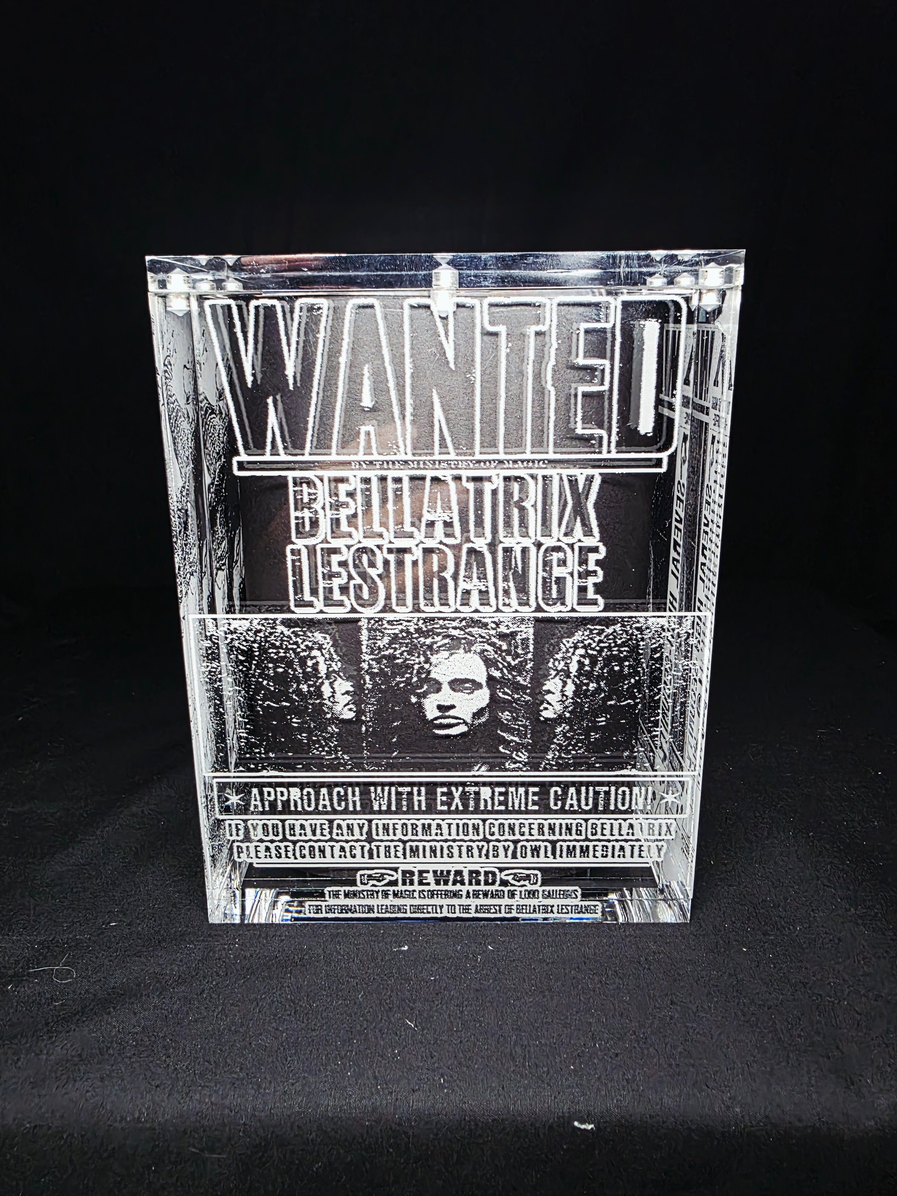 Bellatrix Harry Potter Funko Pop Custom Premium Armor