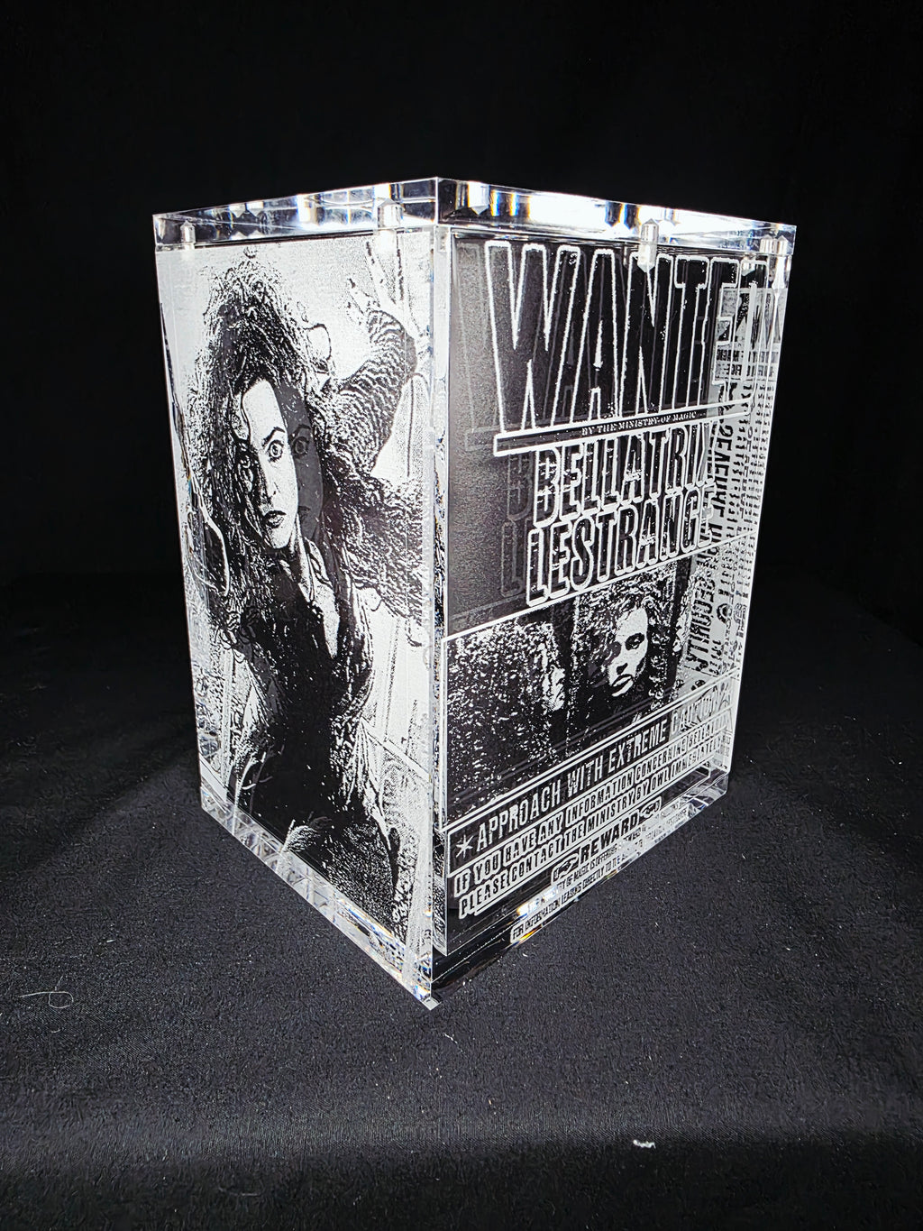 Bellatrix Harry Potter Funko Pop Custom Premium Armor