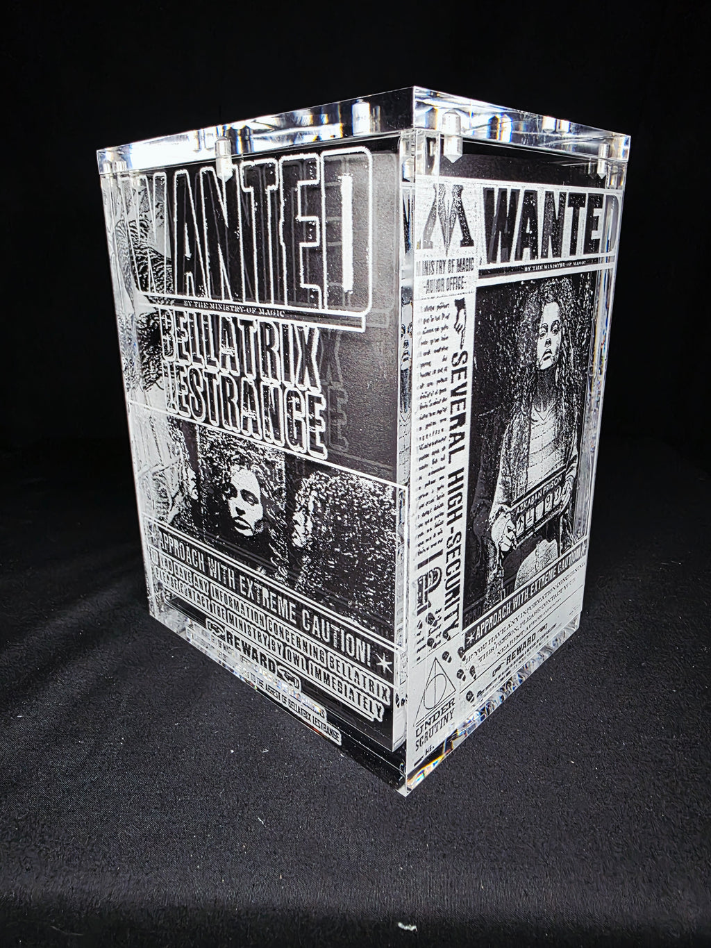 Bellatrix Harry Potter Funko Pop Custom Premium Armor