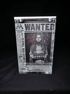 Bellatrix Harry Potter Funko Pop Custom Premium Armor