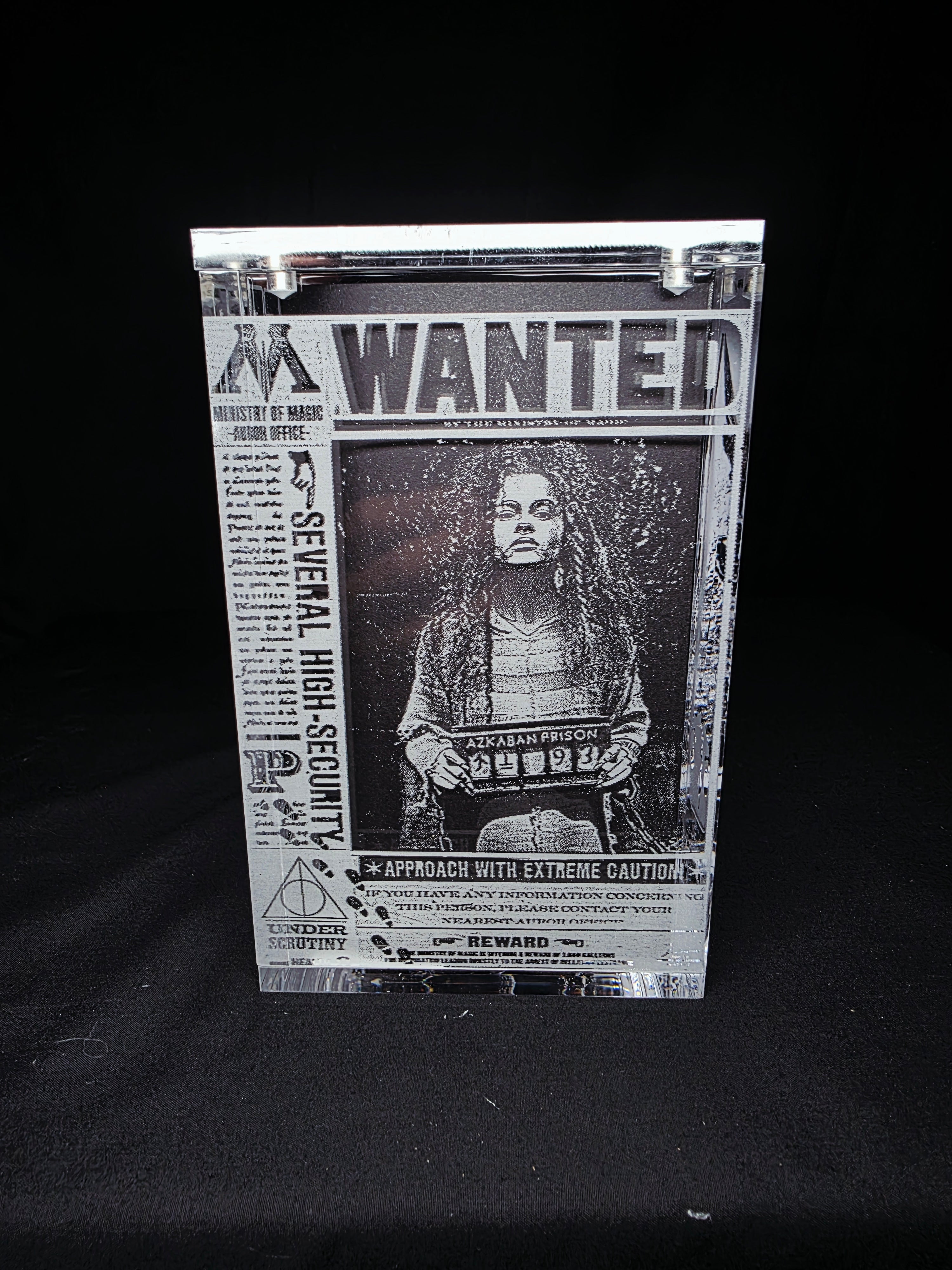 Bellatrix Harry Potter Funko Pop Custom Premium Armor