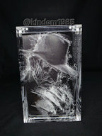 Freddy Krueger Horror Funko Pop Custom Premium Armor
