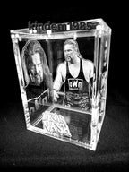 Kevin Nash Funko Pop Custom Premium Armor