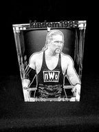 Kevin Nash Funko Pop Custom Premium Armor
