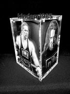 Kevin Nash Funko Pop Custom Premium Armor