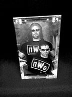 Kevin Nash Funko Pop Custom Premium Armor