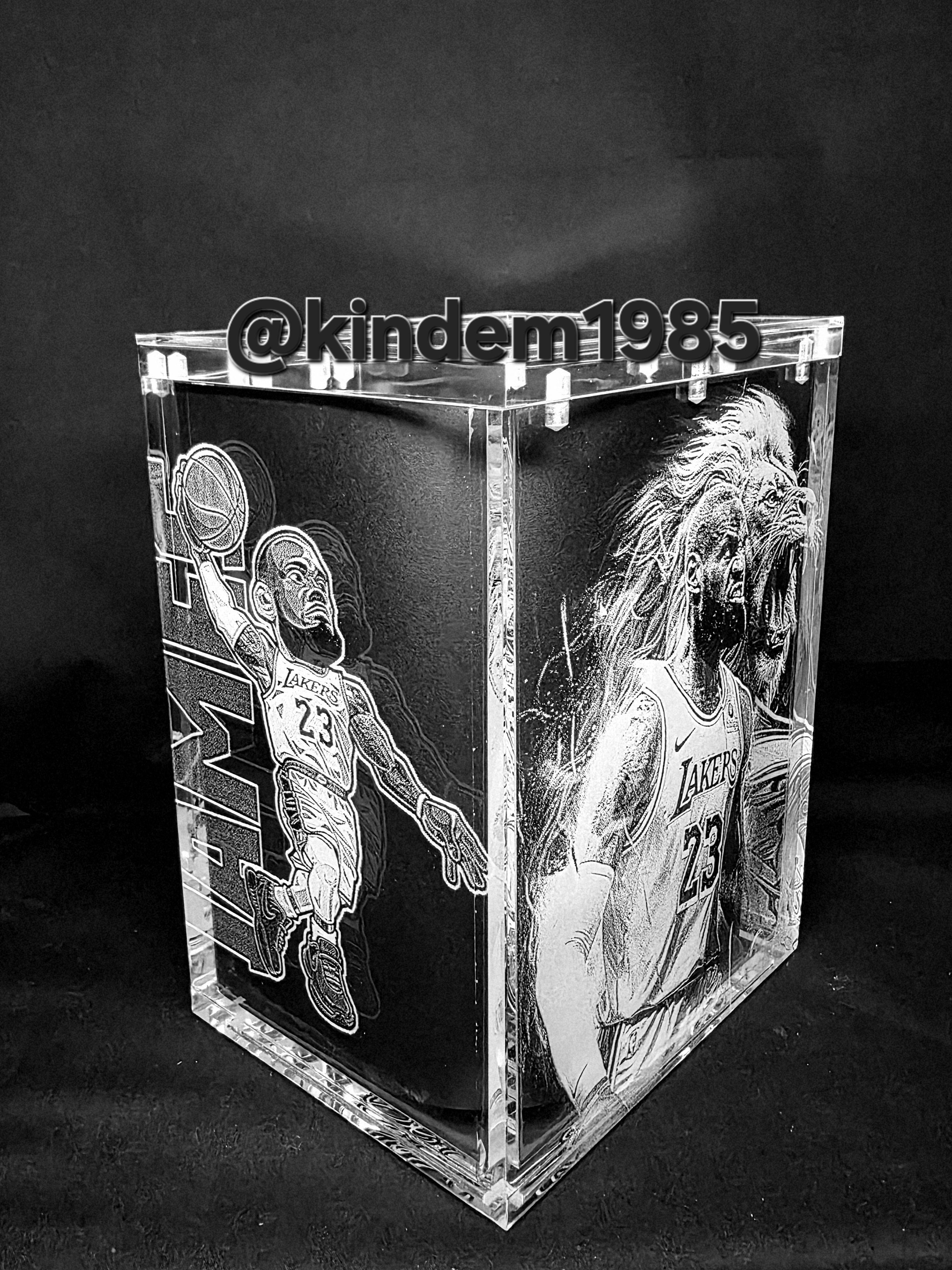 Lebron James Funko Pop Custom Premium Armor