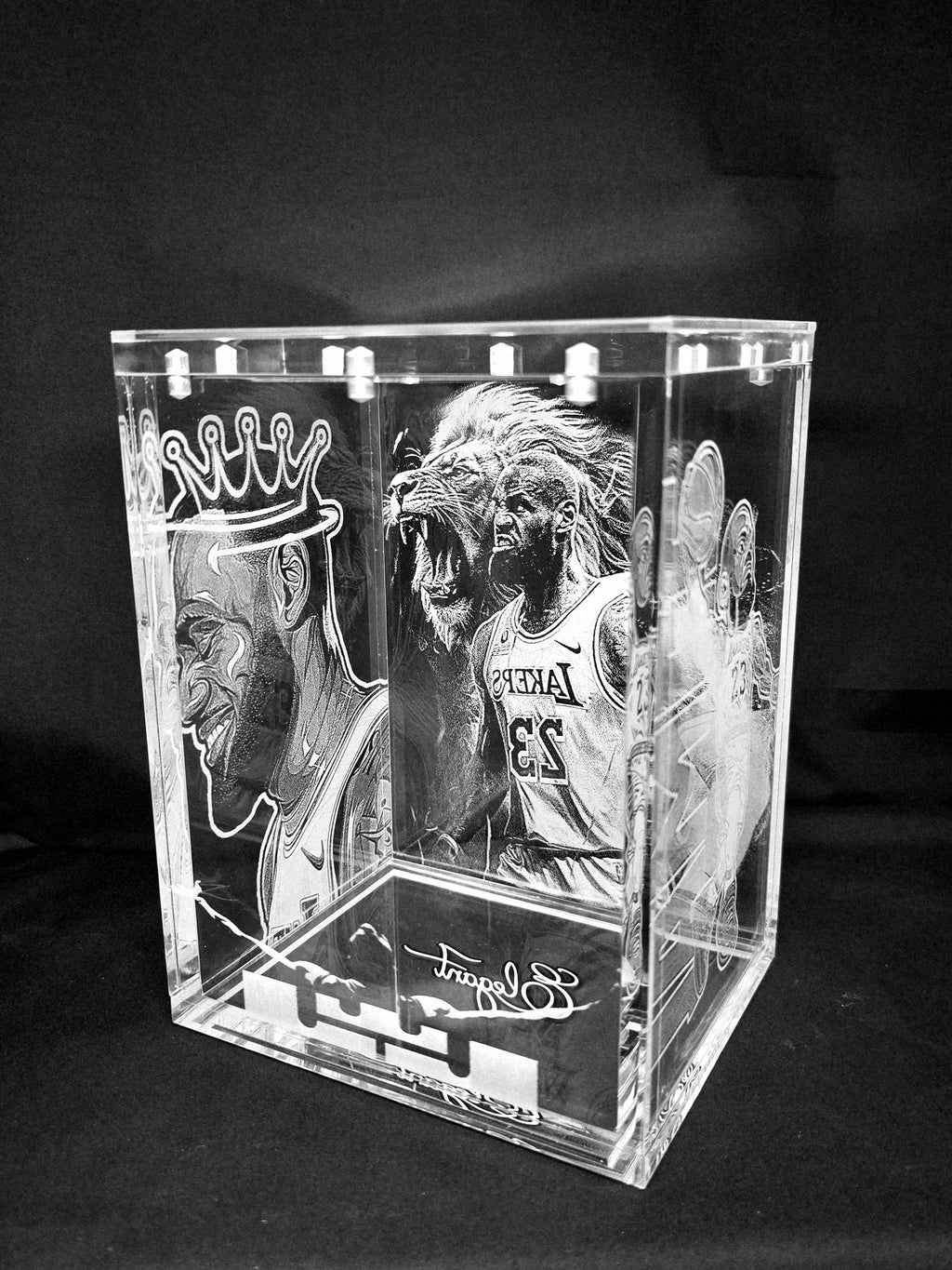 Lebron James Funko Pop Custom Premium Armor
