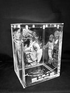 Lebron James Funko Pop Custom Premium Armor