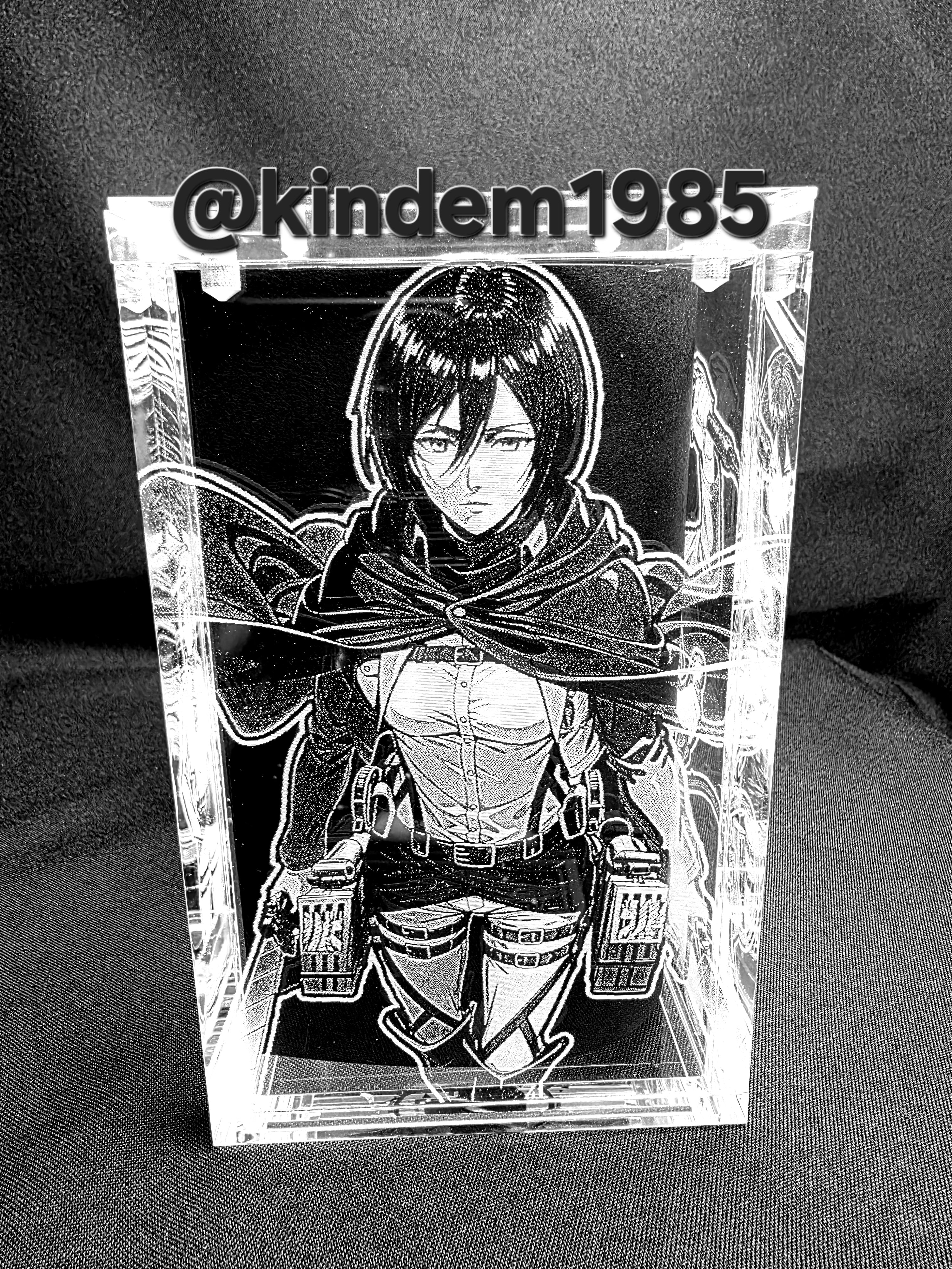 Mikasa AOT Funko Pop Custom Premium Armor