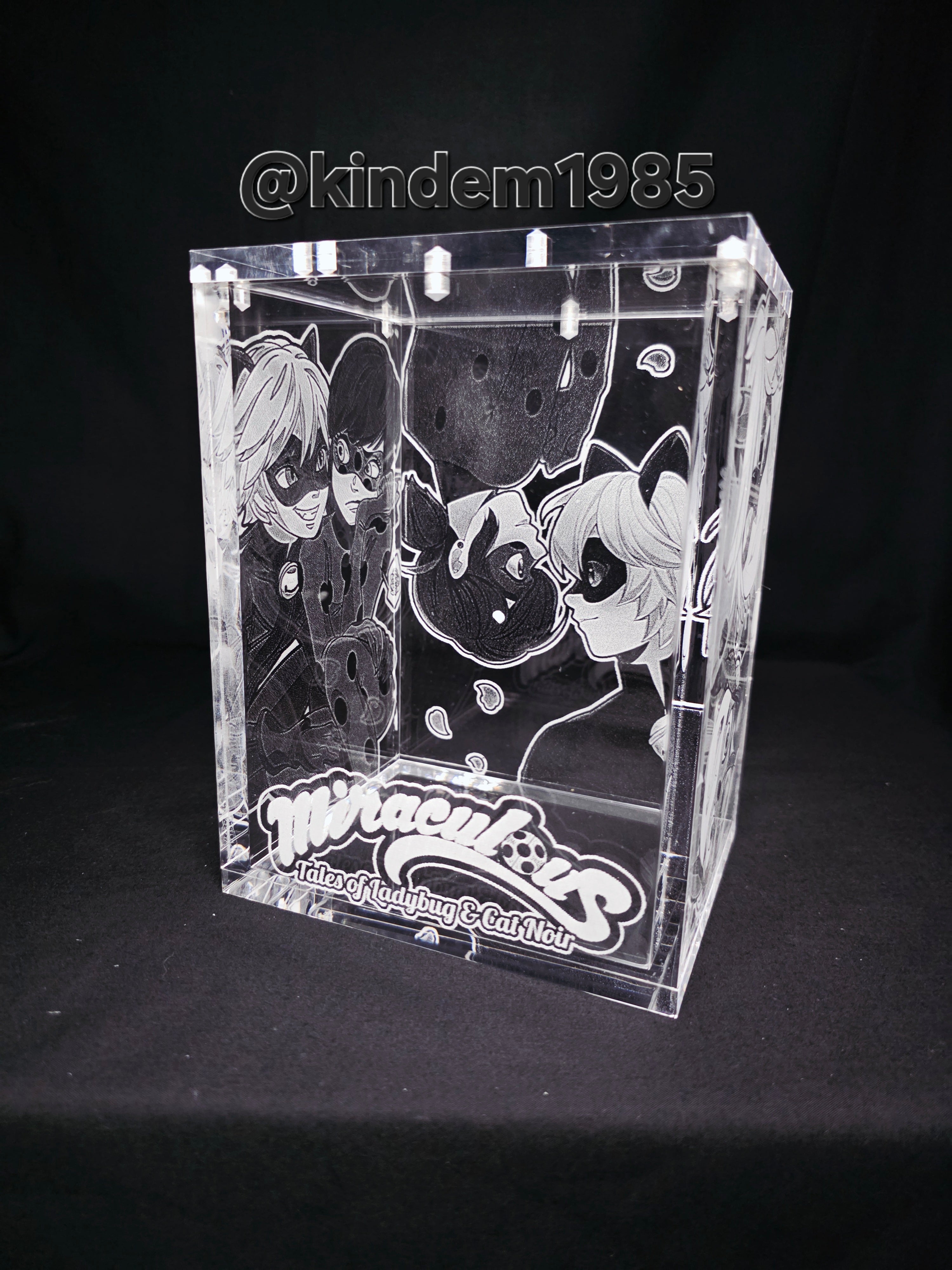 Miraculous Funko Pop Custom Premium Armor
