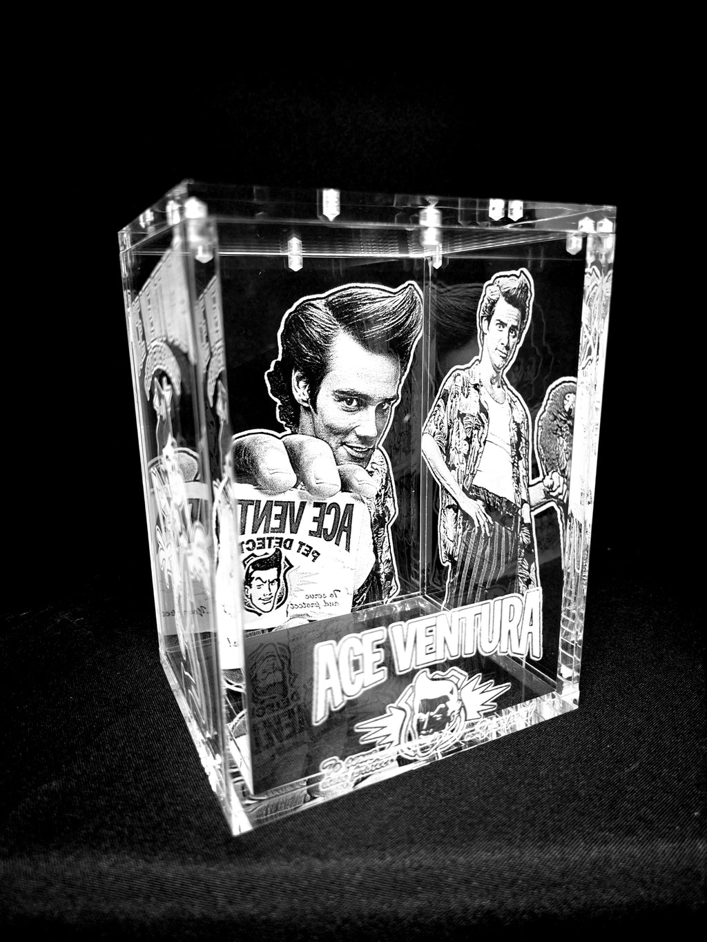 Pet Detective Jim Carrey Funko Pop Custom Premium Armor