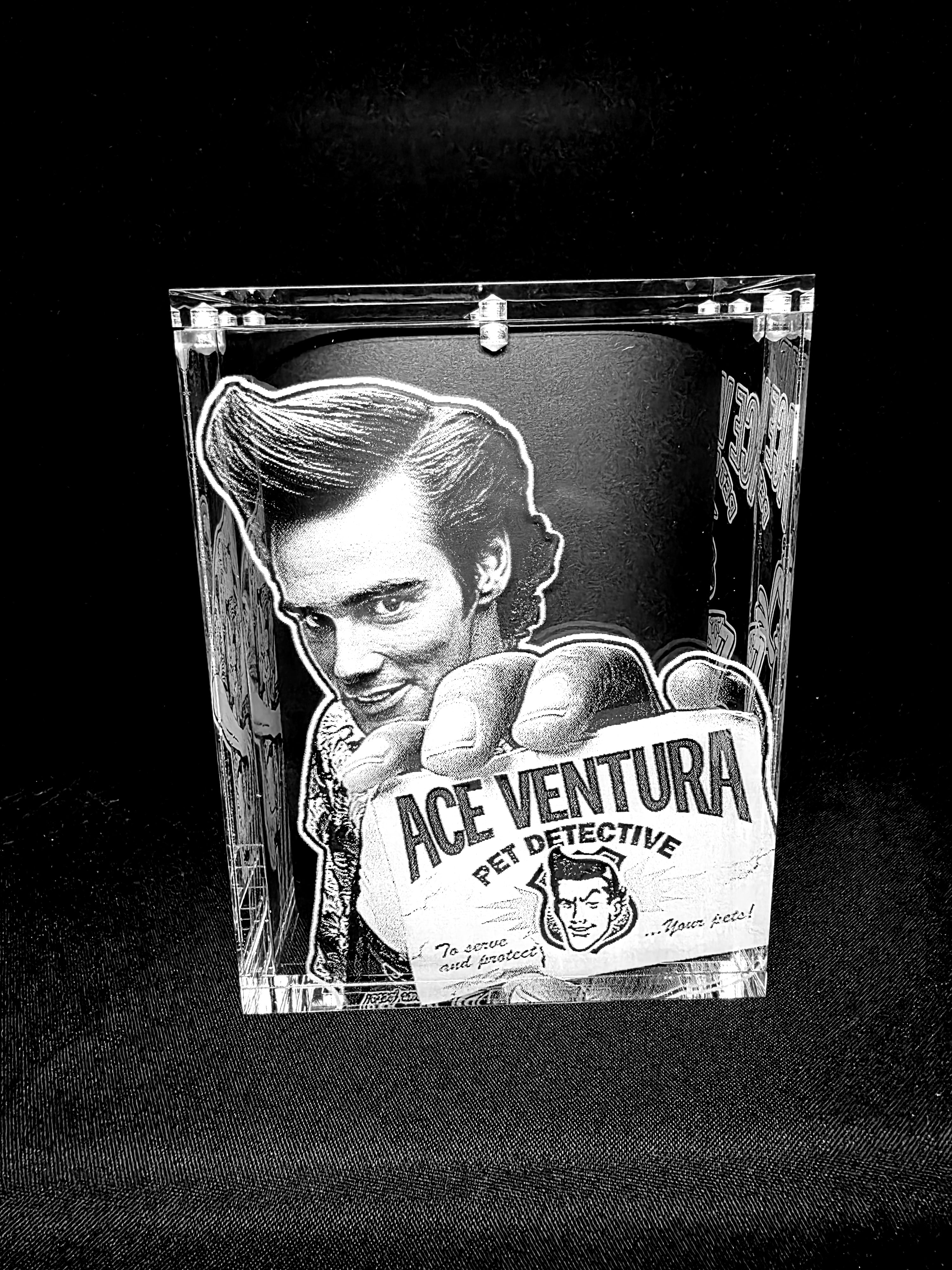 Pet Detective Jim Carrey Funko Pop Custom Premium Armor