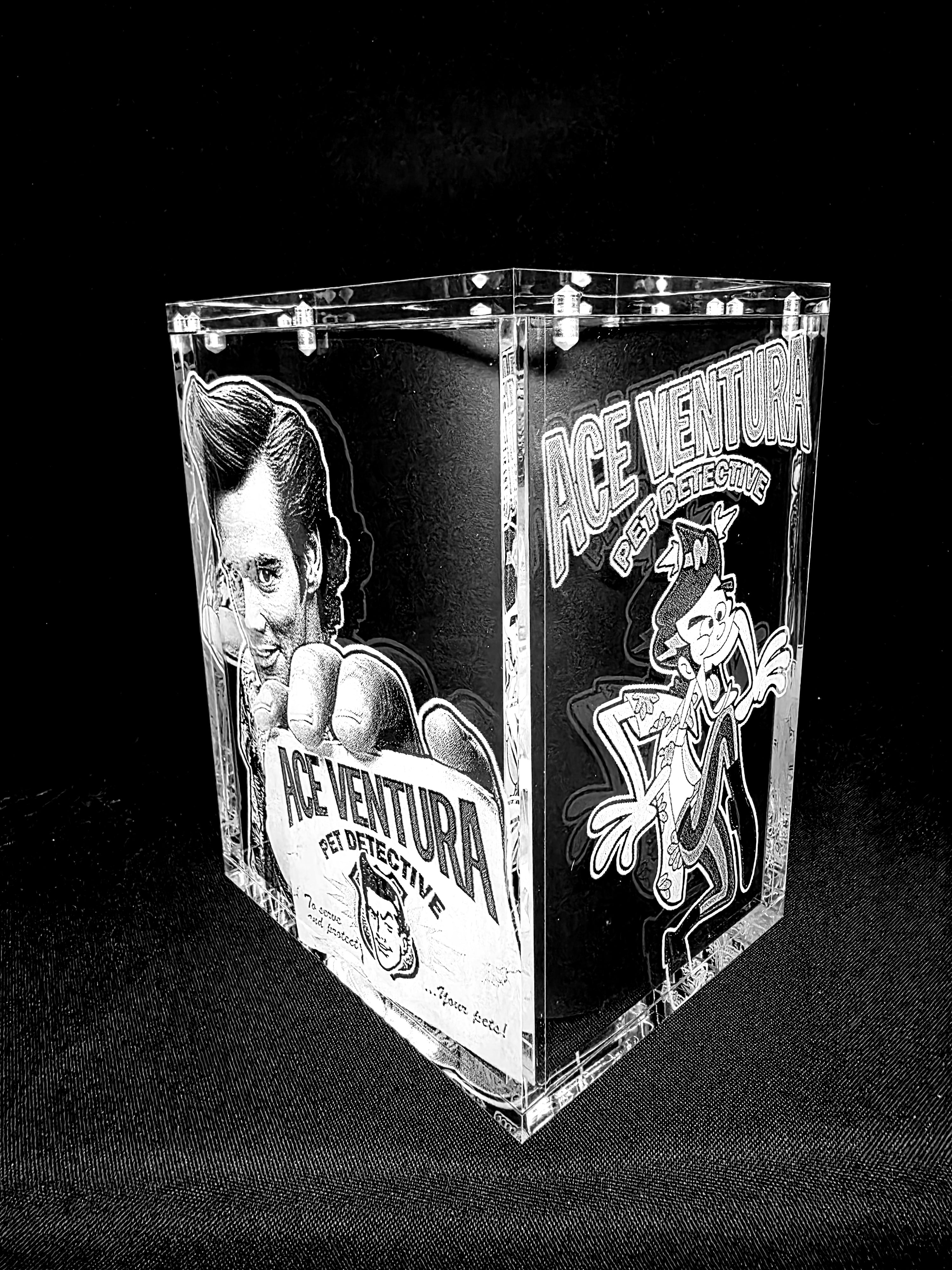 Pet Detective Jim Carrey Funko Pop Custom Premium Armor