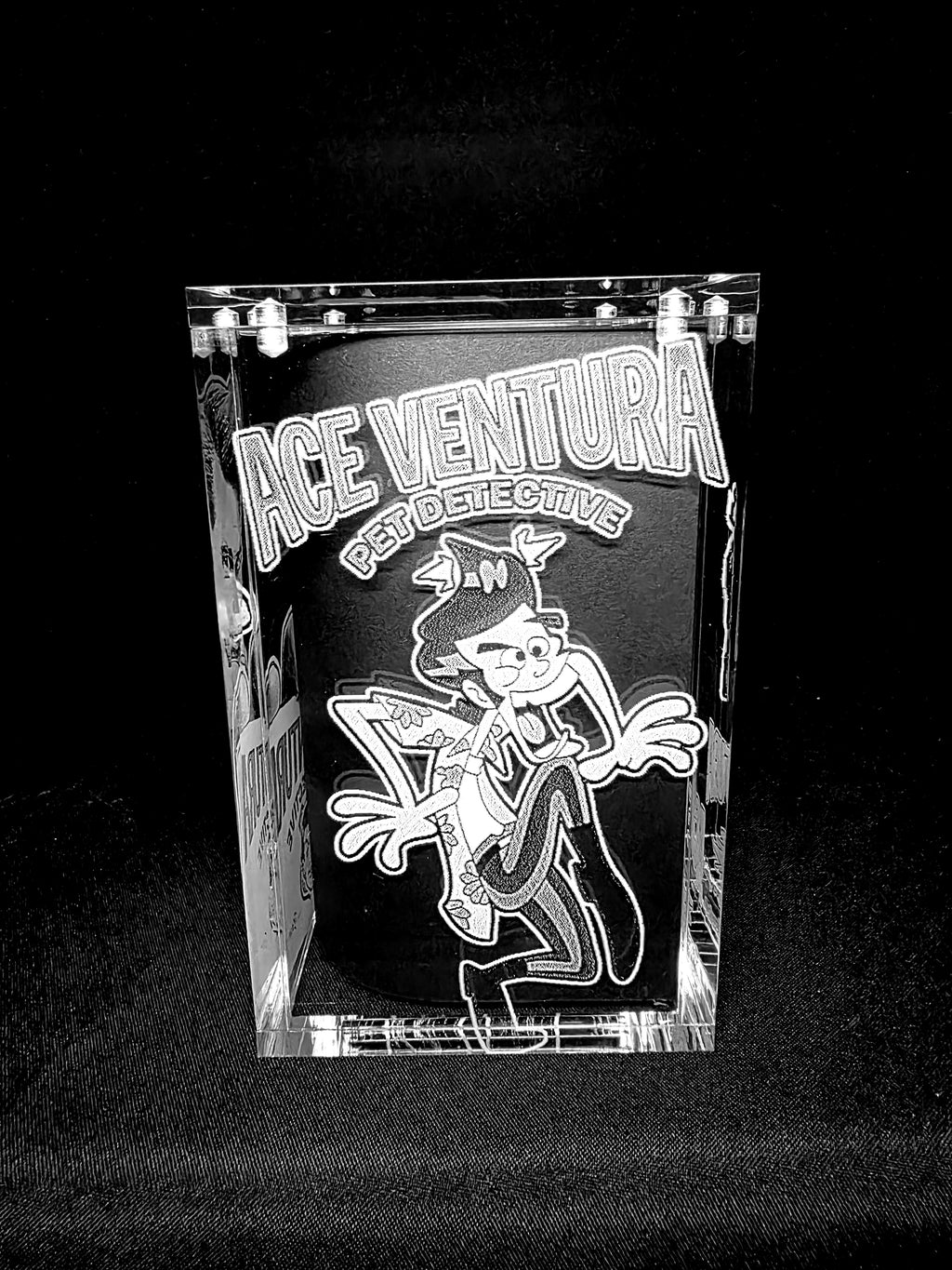 Pet Detective Jim Carrey Funko Pop Custom Premium Armor