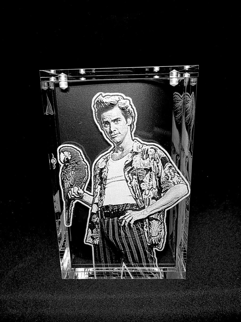 Pet Detective Jim Carrey Funko Pop Custom Premium Armor