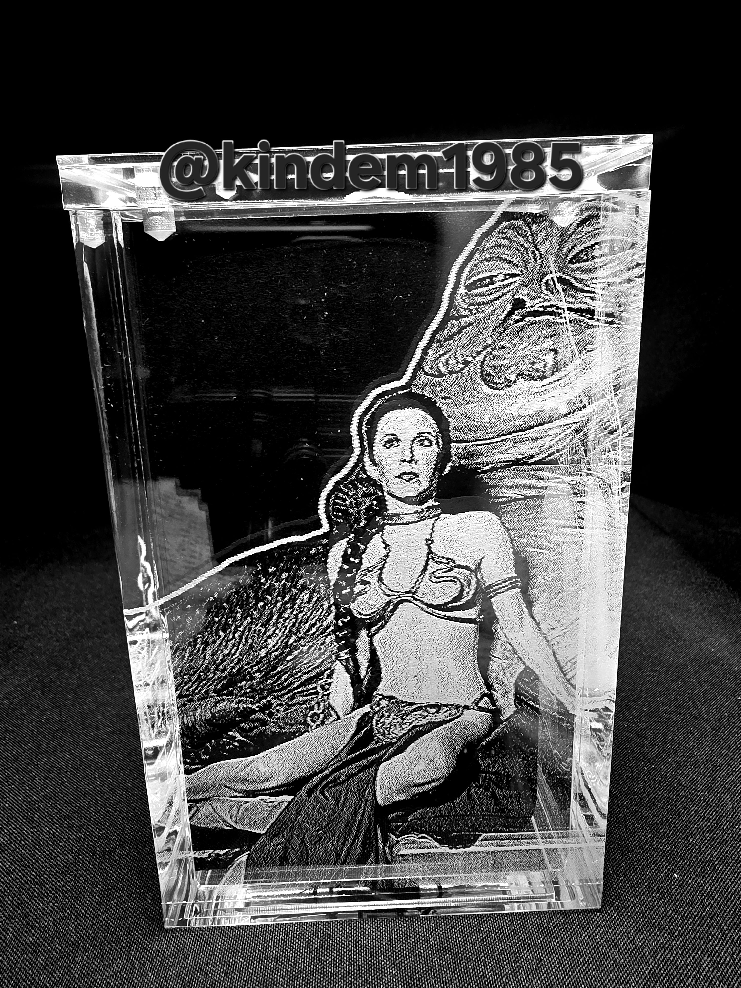 Princess Leia Funko Pop Custom Premium Armor