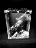 Zach De La Rocha Funko Pop Custom Premium Armor