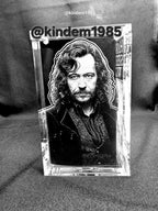Sirius Harry Potter Funko Pop Custom Premium Armor