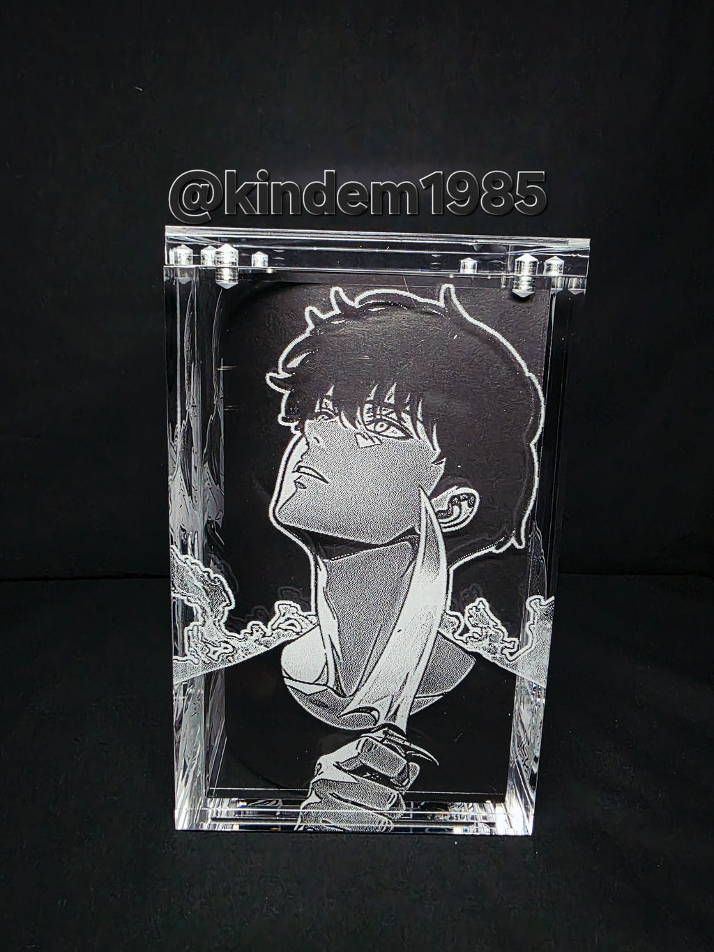Jin Woo Solo Leveling Funko Pop Custom Premium Armor