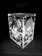 Vegeta Planet Arlia Funko Pop Custom Premium