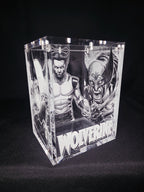 Wolverine Funko Pop Custom Premium Armor