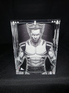 Wolverine Funko Pop Custom Premium Armor