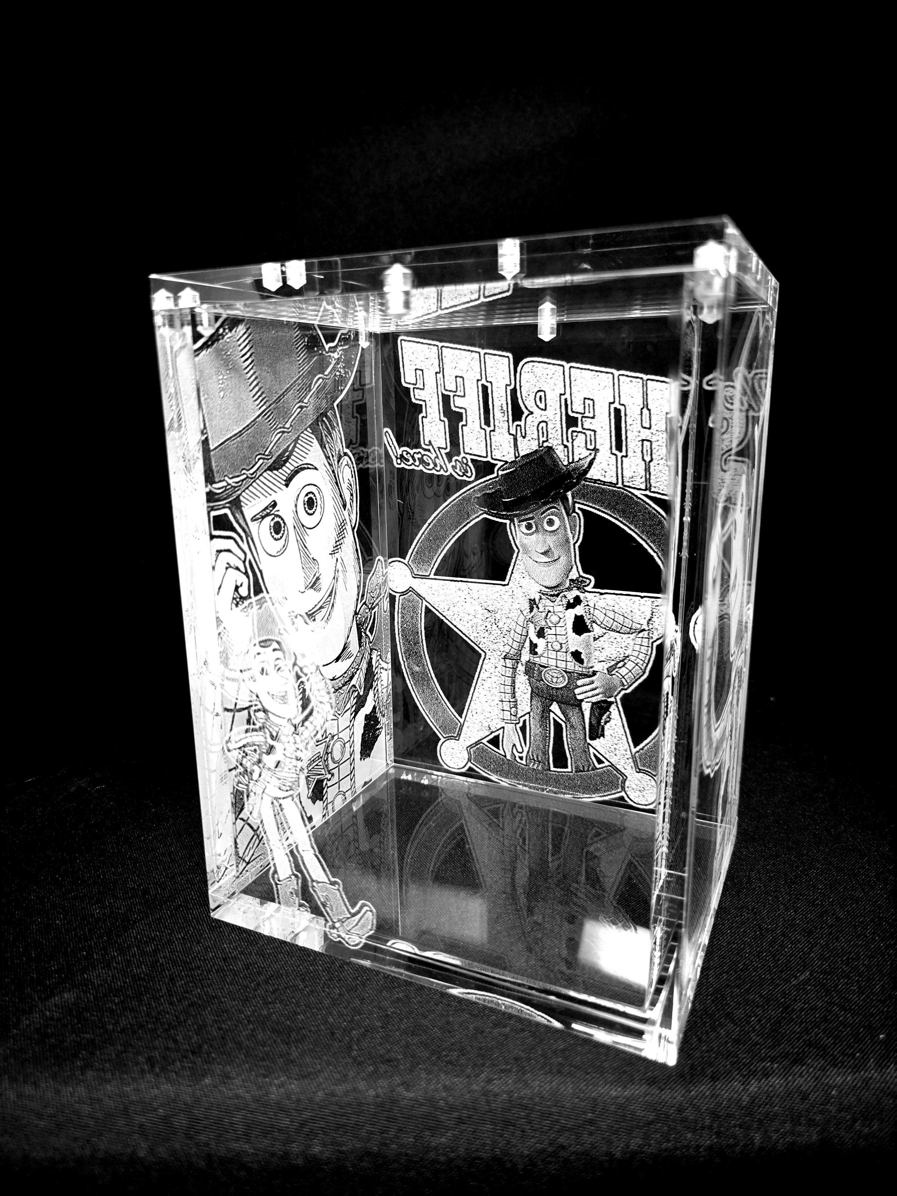 Woody Toy Story Funko Pop Custom Premium Armor