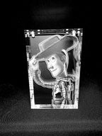 Woody Toy Story Funko Pop Custom Premium Armor