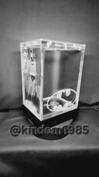 Batman The Animated Series Funko Pop Custom Premium Armor