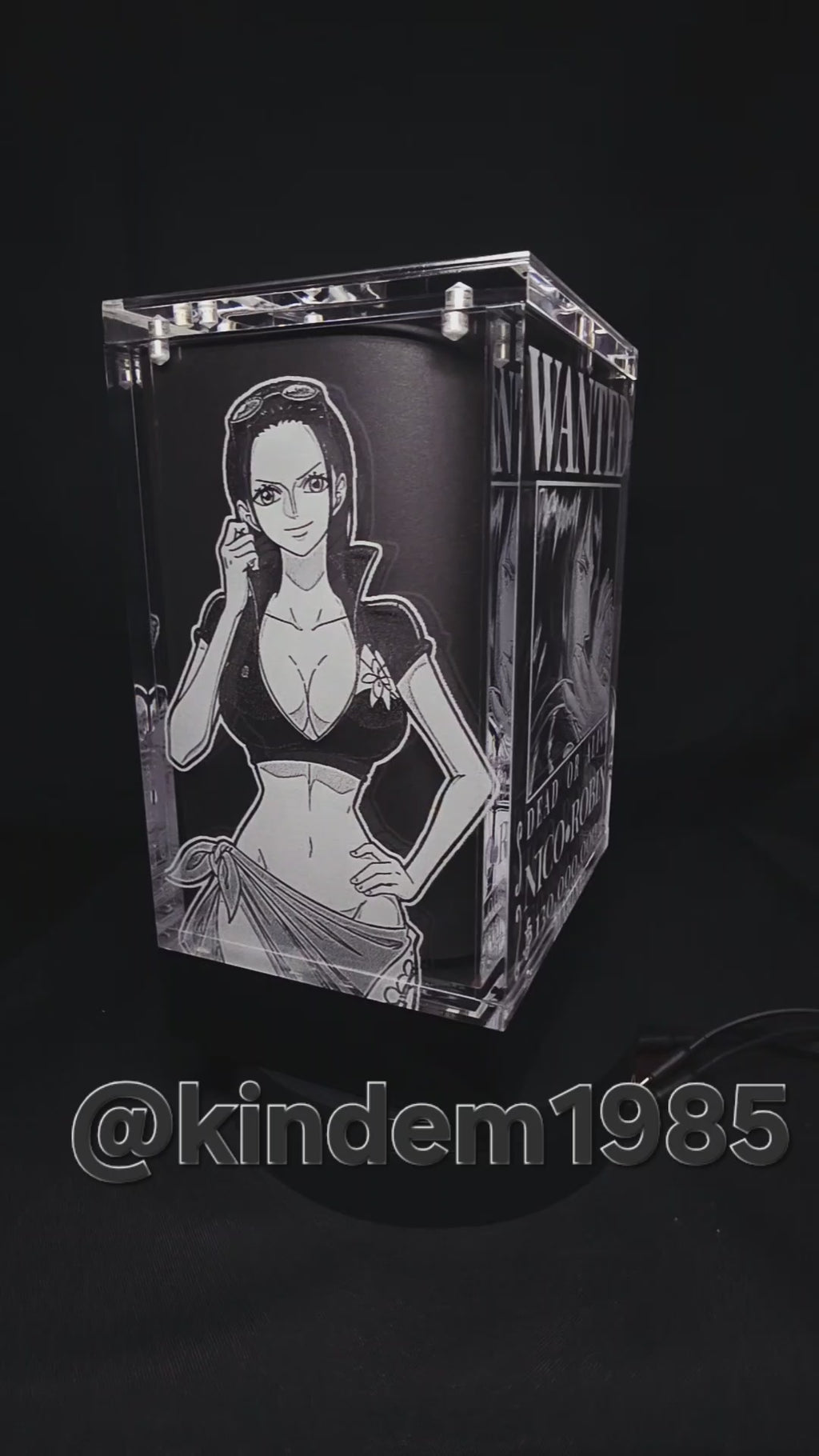 Nico Robin One Piece Funko Pop Premium Armor Custom Protector