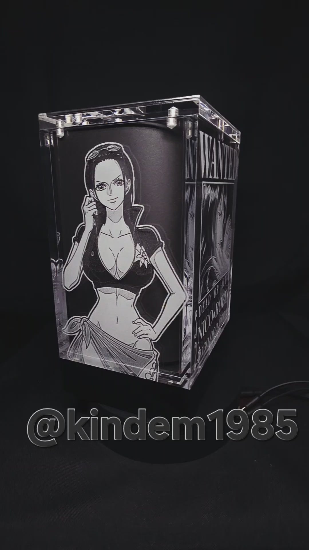 Nico Robin One Piece Funko Pop Premium Armor Custom Protector