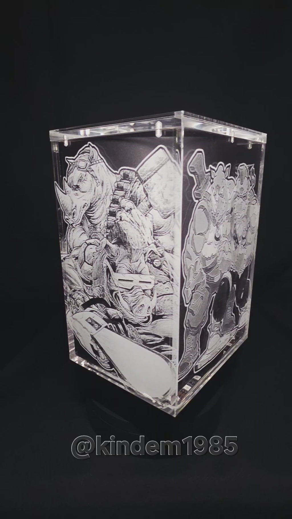 Bebop and Rocksteady Thrilljoy Pix! Premium Armor Custom Protector