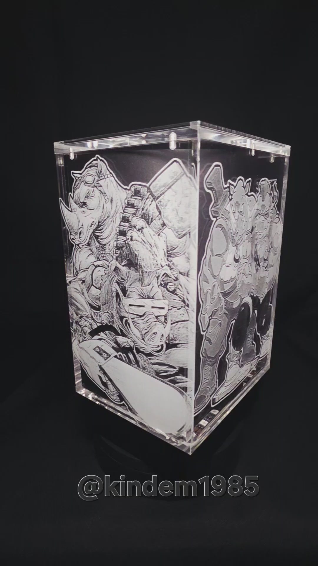 Bebop and Rocksteady Thrilljoy Pix! Premium Armor Custom Protector