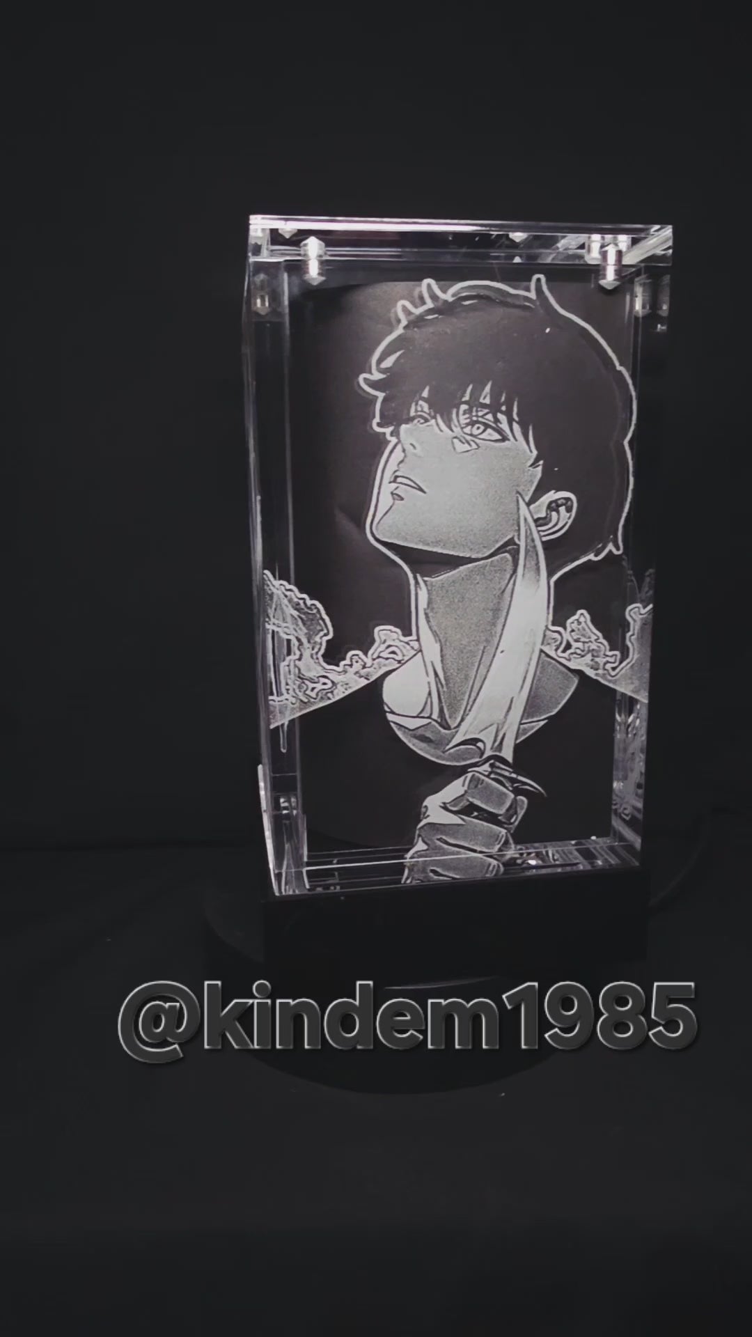 Jin Woo Solo Leveling Funko Pop Custom Premium Armor