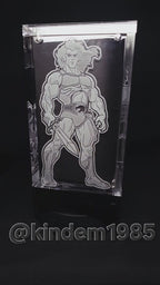 Lion O Thundercats Funko Pop Premium Armor Custom Protector