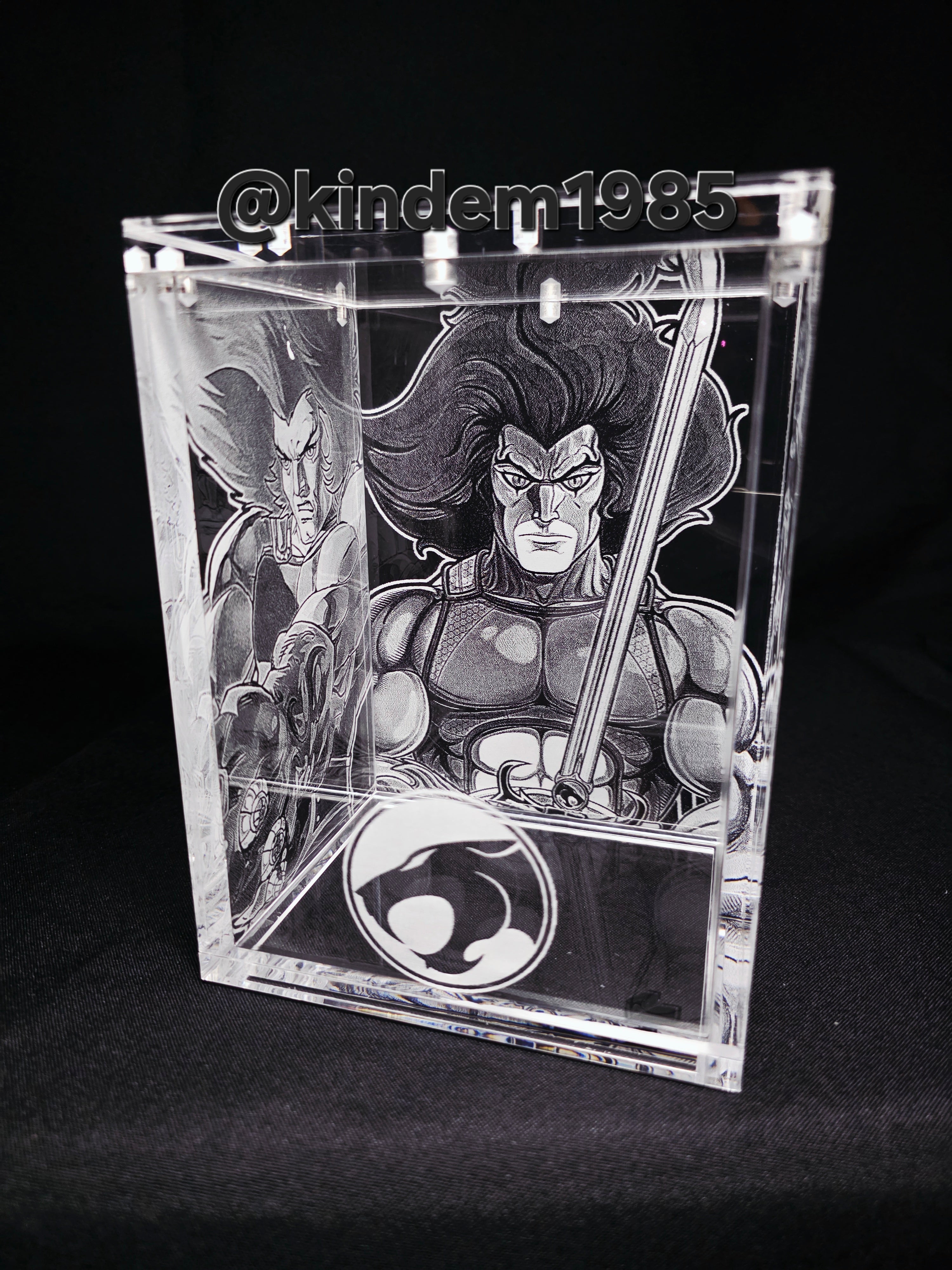 Lion O Thundercats Funko Pop Premium Armor Custom Protector