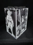 Lion O Thundercats Funko Pop Premium Armor Custom Protector
