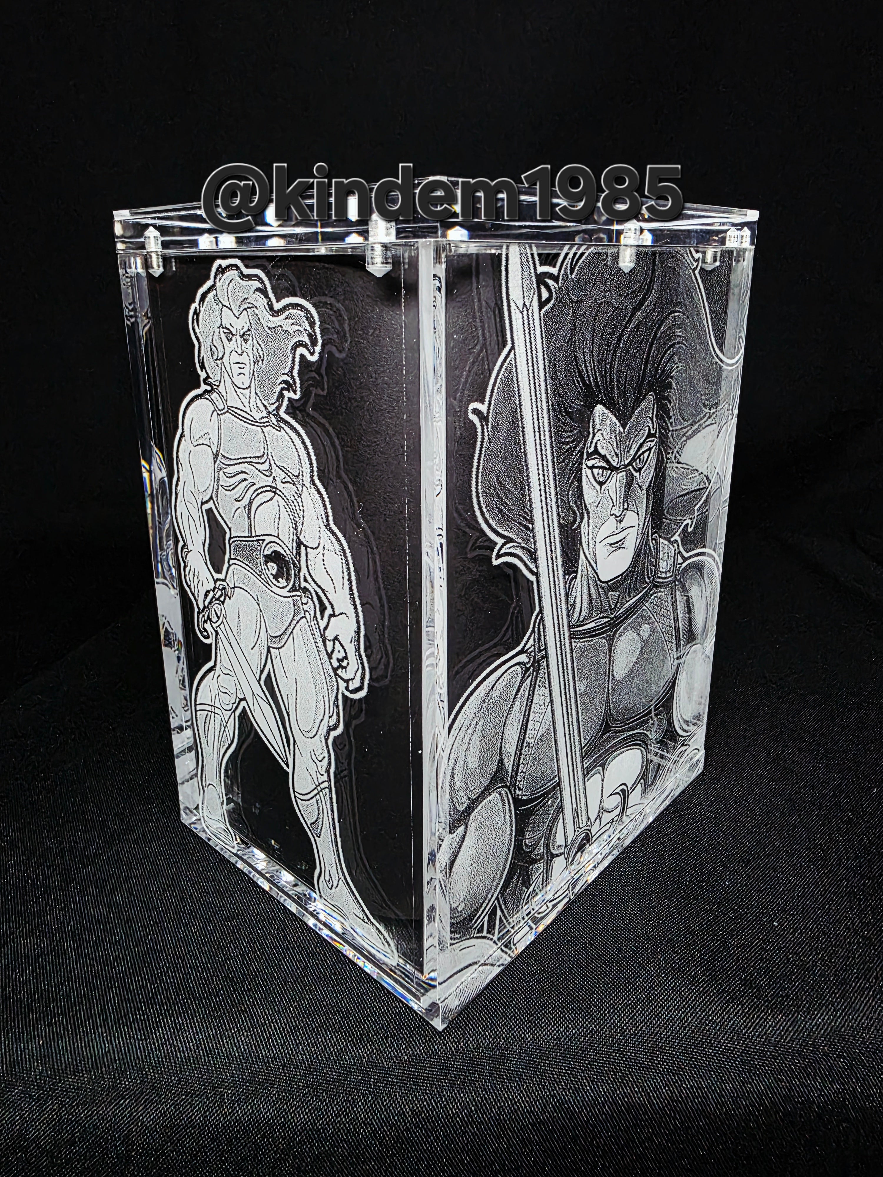 Lion O Thundercats Funko Pop Premium Armor Custom Protector
