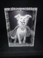 Krypto Superman ThrillJoy Pix! Premium Armor Custom Protector