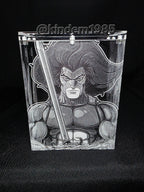 Lion O Thundercats Funko Pop Premium Armor Custom Protector