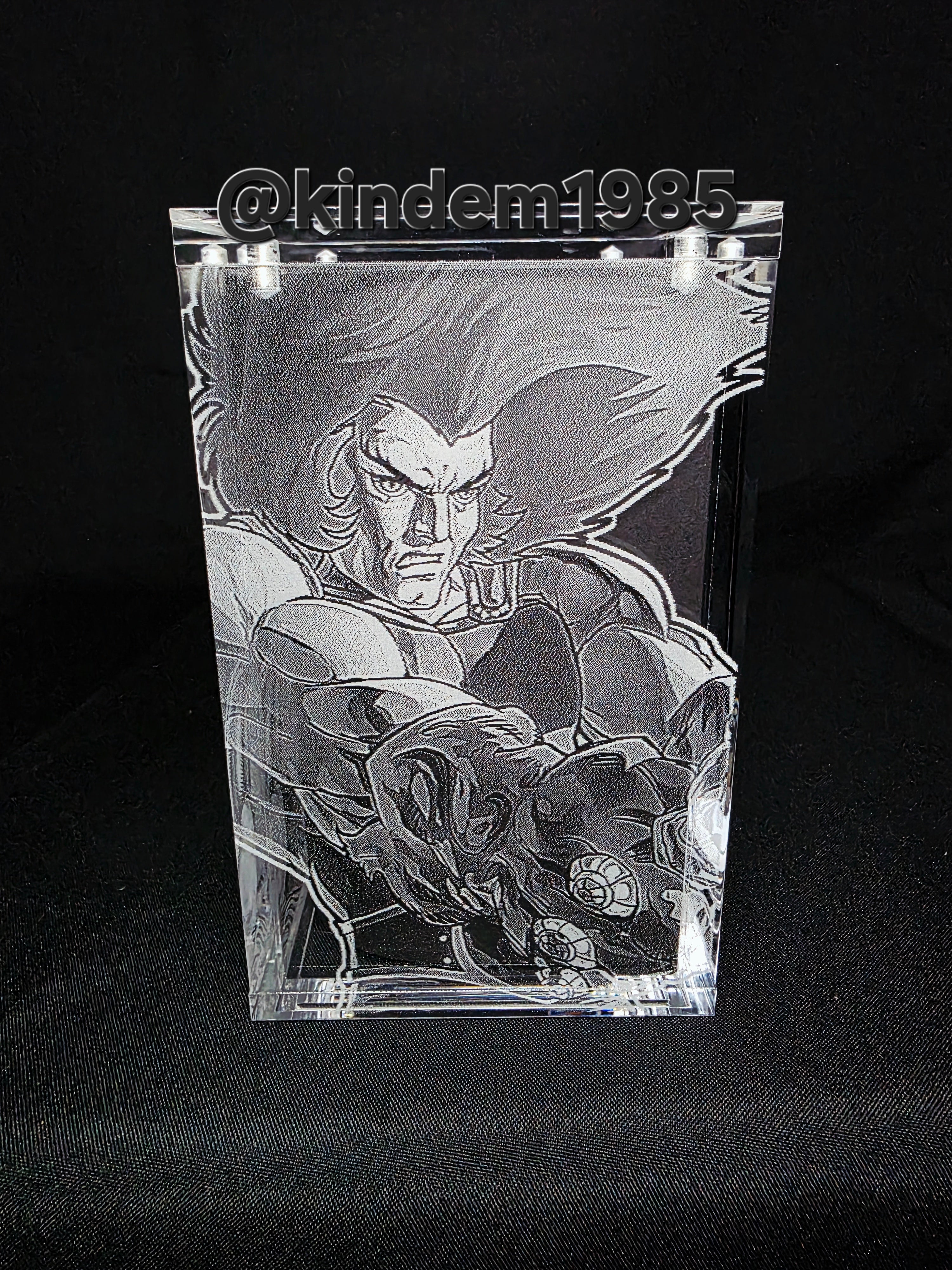 Lion O Thundercats Funko Pop Premium Armor Custom Protector