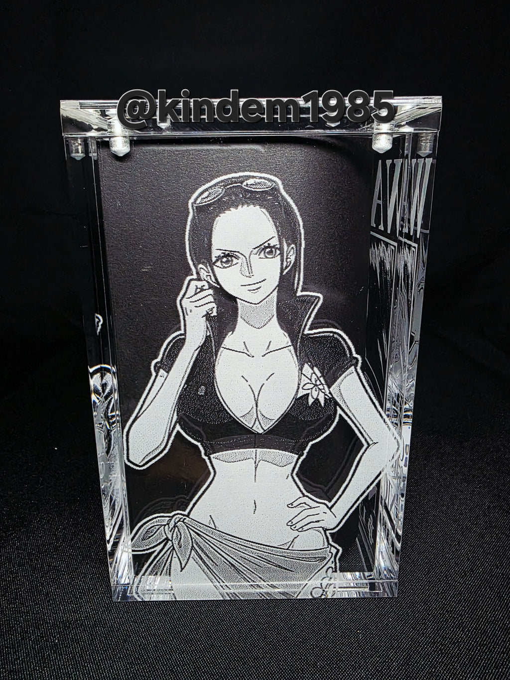 Nico Robin One Piece Funko Pop Premium Armor Custom Protector