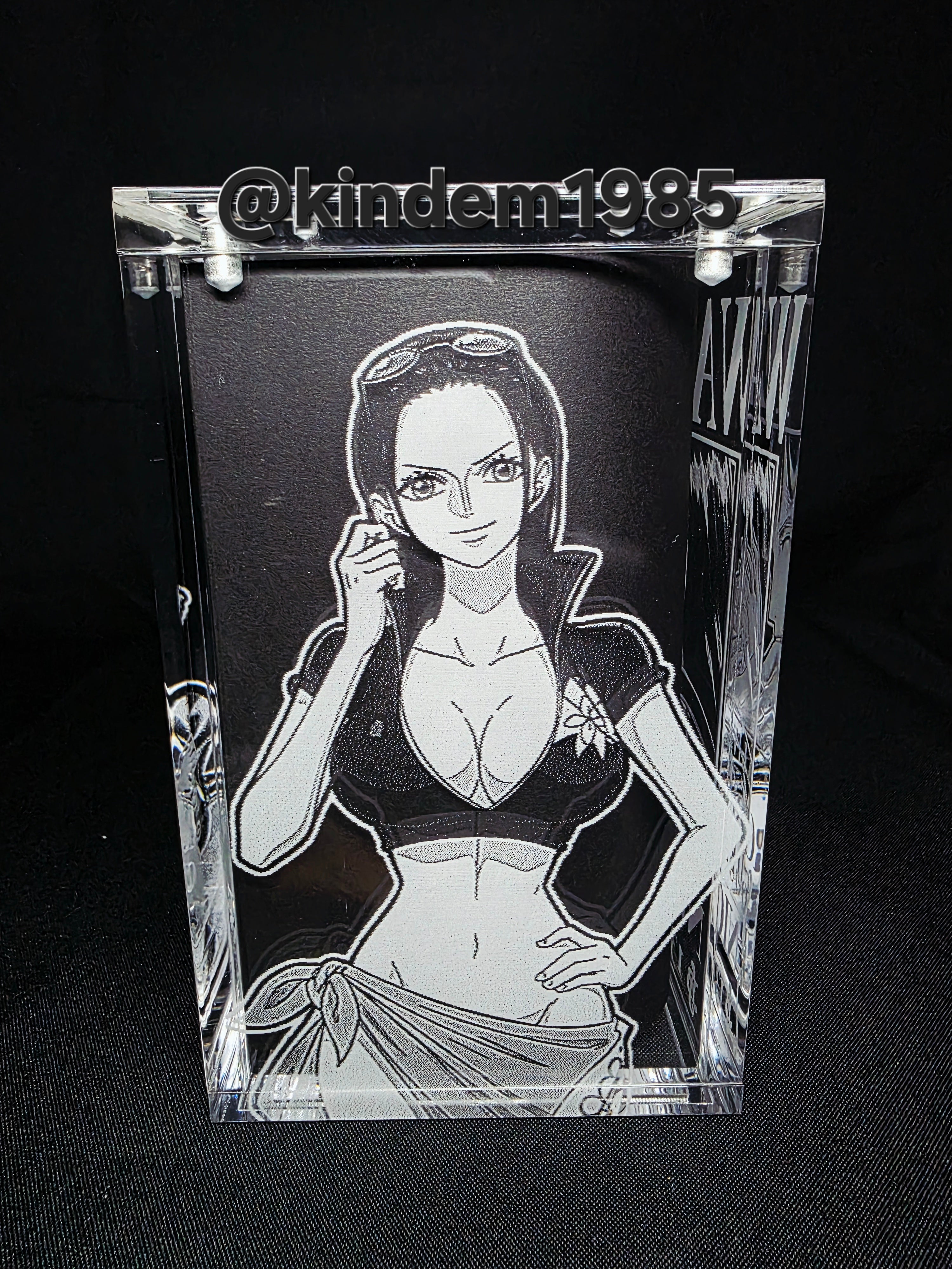 Nico Robin One Piece Funko Pop Premium Armor Custom Protector
