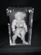 Lion O Thundercats Funko Pop Premium Armor Custom Protector