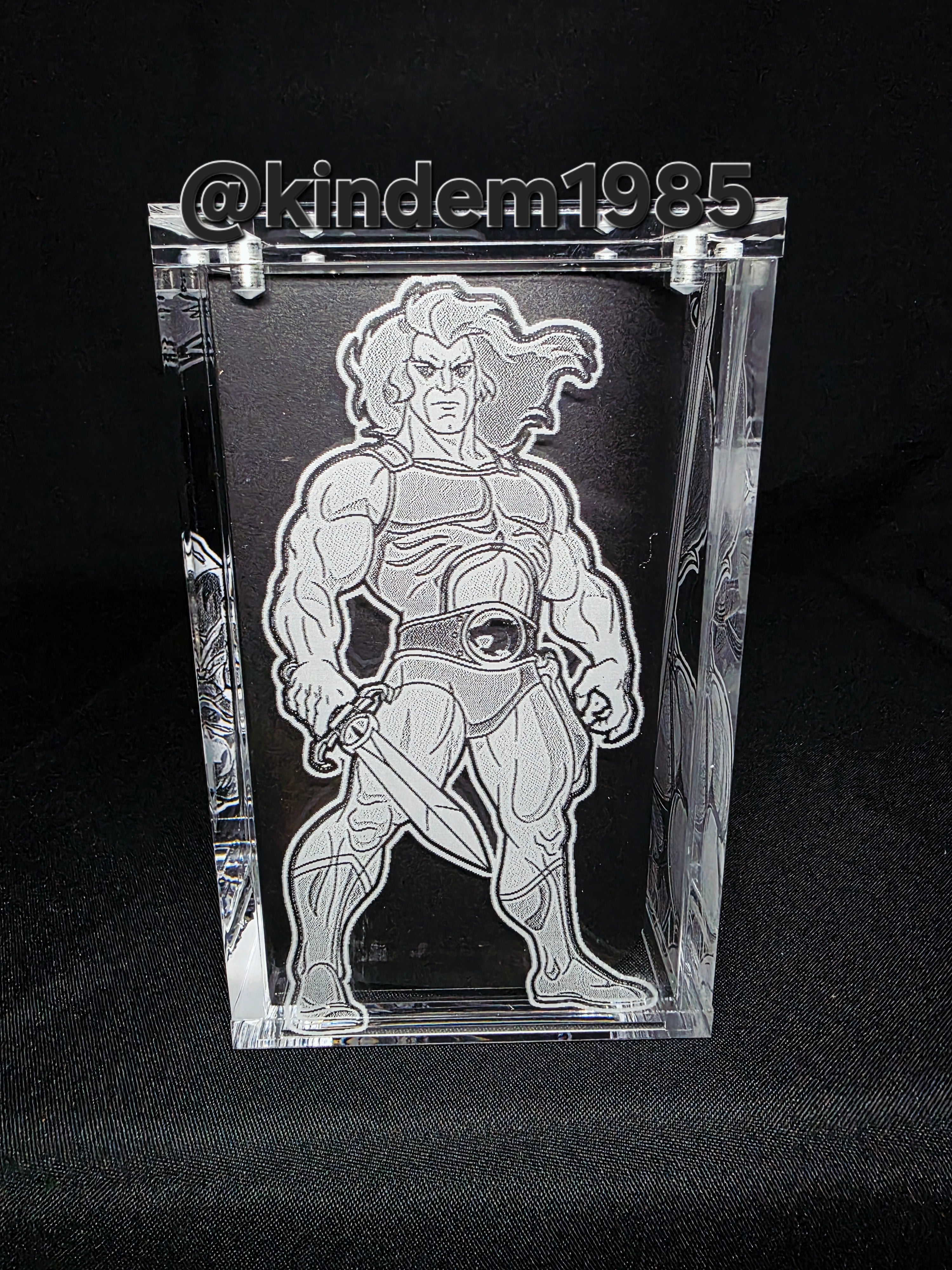 Lion O Thundercats Funko Pop Premium Armor Custom Protector