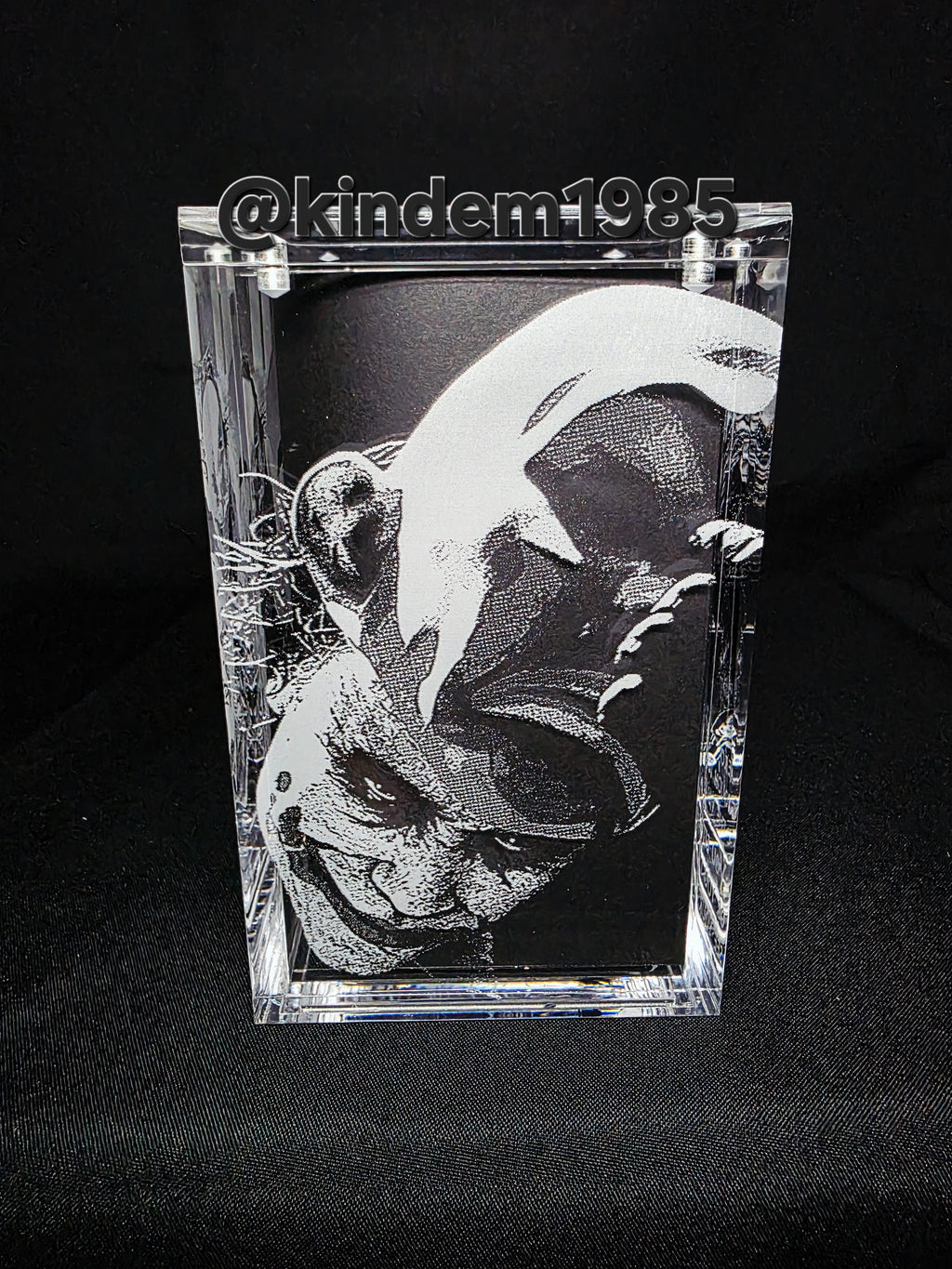 Bank Robber Joker Batman Funko Pop Premium Armor Custom Protector